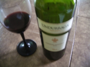 A Glass of Undurraga